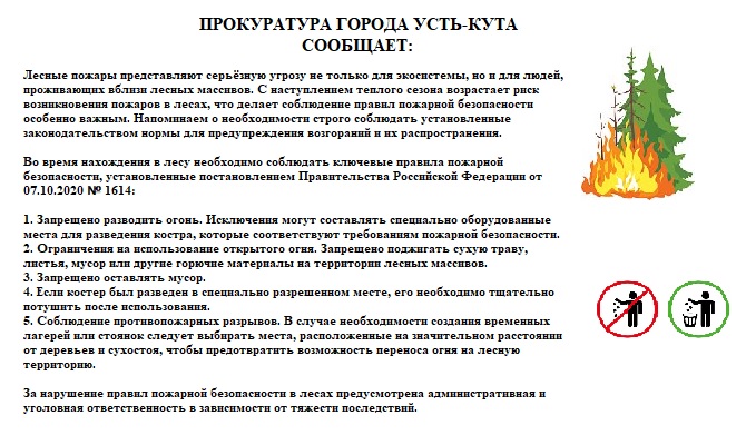 Лесные пожары