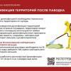 Дезинфекция территории после паводка
